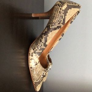 Coach reptile pumps.
